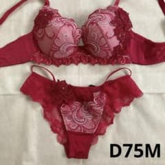 Wacoal Salute ブラジャーショーツセット D75M - メルカリ