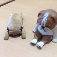 ぐでっとした犬のサムネイル