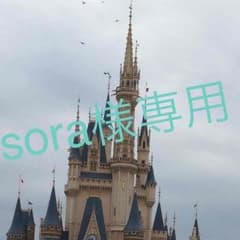 sora様のサムネイル