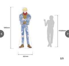 吉田秋生先生『BANANA FISH』 キャラクターパネル アッシュ 等身大 
