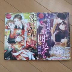 契約妊活婚! : 隠れドSな紳士と子作りすることになりました　エタニティ他1冊のサムネイル