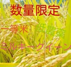 令和7年産！ミルキークイーン10kg！のサムネイル