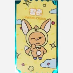 新品未使用☆　 PPULBATU ファンチュン チケットカードのサムネイル