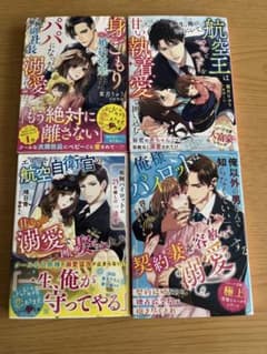 ベリーズ文庫 小説 セット 恋愛小説 - メルカリ