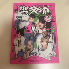 Stray Kids Mini Aleumのサムネイル