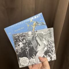 っw様 専用ペーのサムネイル
