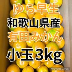 ゆら早生 小玉 3S前後 約3kg 和歌山県有田産 有田みかんのサムネイル