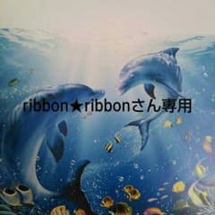 ribbon★ribbon…さん専用のサムネイル
