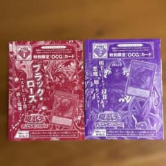 遊戯王 ザ・ヴァリュアブル・ブックEX6 袋とじカード2種 - メルカリ