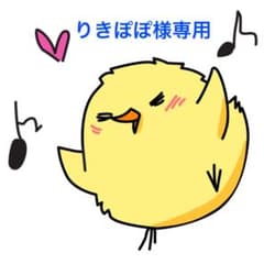 りきぽぽ様専用のサムネイル
