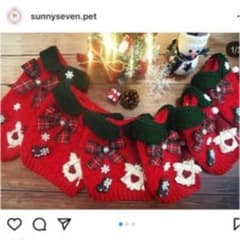 sunny seven pet クリスマスニット　おそろいでのサムネイル