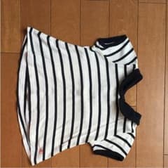 プチバトーシャツのサムネイル