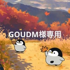 GOUDM様専用、ローゼルのサムネイル