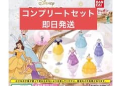 最安値、新品】ディズニー プリンセス コスチュームめじるし