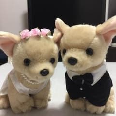 ウェルカムドール チワワのサムネイル