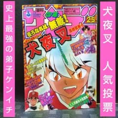 週刊少年サンデー 2002年25号※犬夜叉 人気投票※史上最強の弟子ケンイチ