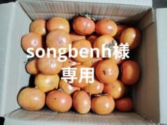 富有柿５キロ　無農薬　訳ありのサムネイル