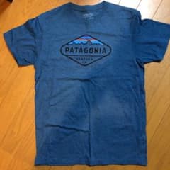 Tシャツ パタゴニア Patagonia Sサイズのサムネイル