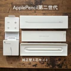 Apple Pencil 第二世代 元箱付き（替え芯2個付き） Apple Pencil 第2世代 A2051 純正 替え芯付き 箱付き - メルカリ