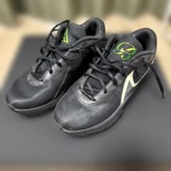 NIKE フリーク6 ブラックレーベルのサムネイル