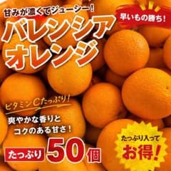 バレンシアオレンジ 詰め合わせ 50個程度のサムネイル