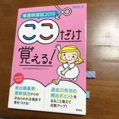 看護師国試 2019 ここだけ覚える!のサムネイル