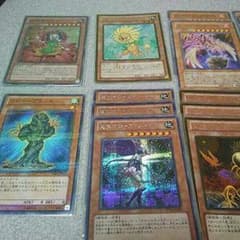 遊戯王森羅デッキのサムネイル