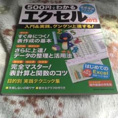 500円でわかるエクセル2013 : 入門&実践、グングン上達〈全手順解説〉のサムネイル