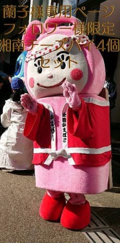 蘭子様専用ページ！ フォロワー様限定✧︎湘南チーズパイ4個セット✧︎のサムネイル