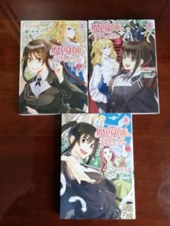 魔導師は平凡を望む 全3巻 セット  全巻 完結のサムネイル