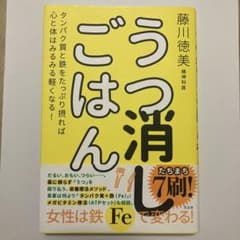 うつ消しごはん 藤川徳美のサムネイル