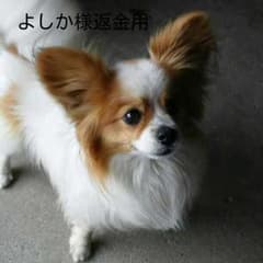 よしか様返金用のサムネイル