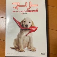 マーリー 世界一おバカな犬が教えてくれたこと 特別編('08米)のサムネイル