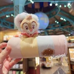 상하이 디즈니 칩 앤 데일 데일 펜 케이스 붓 상자