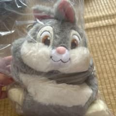 とんすけ　ディズニー　ストア　巾着　くじのサムネイル