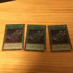 同胞の絆 3枚のサムネイル