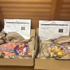 ポケモンセンター スペシャルBOX トウホク　ヒロシマセットのサムネイル