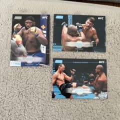 UFC ヘビー級 3枚セット ブレイズ ミオシッチ ヴォルコフのサムネイル