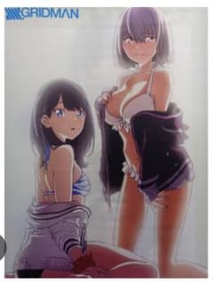 ⭐️ 希少 レア グリッドマン 水着 宝多六花 新条アカネ タペストリー m15445202128_1.jpg?1713441012