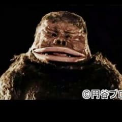 かんた様専用のサムネイル