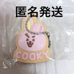 고무 매력 BT21 쿠키 정국