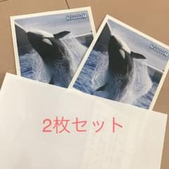 鴨川シーワールド  入園チケット 2枚のサムネイル