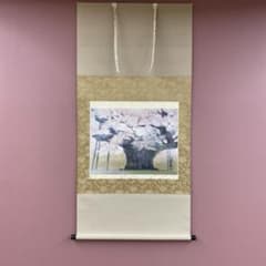 美品 掛け軸 伊藤嘉晃作 淡墨桜図 さくら 縁起物 美術年鑑掲載 - メルカリ