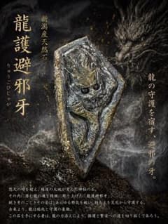 2026.4.28.no.2龍護避邪牙　新潟産玄龍珪化石 2026.4.28.no.2龍護避邪牙 新潟産玄龍珪化石 - メルカリ