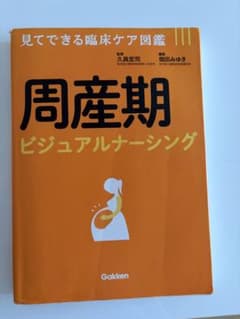 ビジュアルナーシング　周産期　母性看護学のサムネイル
