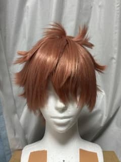 ツイステ エース ウイッグ Dハロ 仮装 - メルカリ