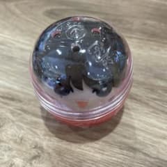 JO1 かぷっこふれんず 河野純喜のサムネイル