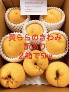 たくさん食べたい黄ららのきわみ　訳あり約5kgのサムネイル