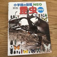 新版 昆虫 DVD付き 小学校の図鑑 NEOのサムネイル