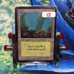 278 《森/Forest》MTG アルファ α [LEA] 基本土地 - メルカリ